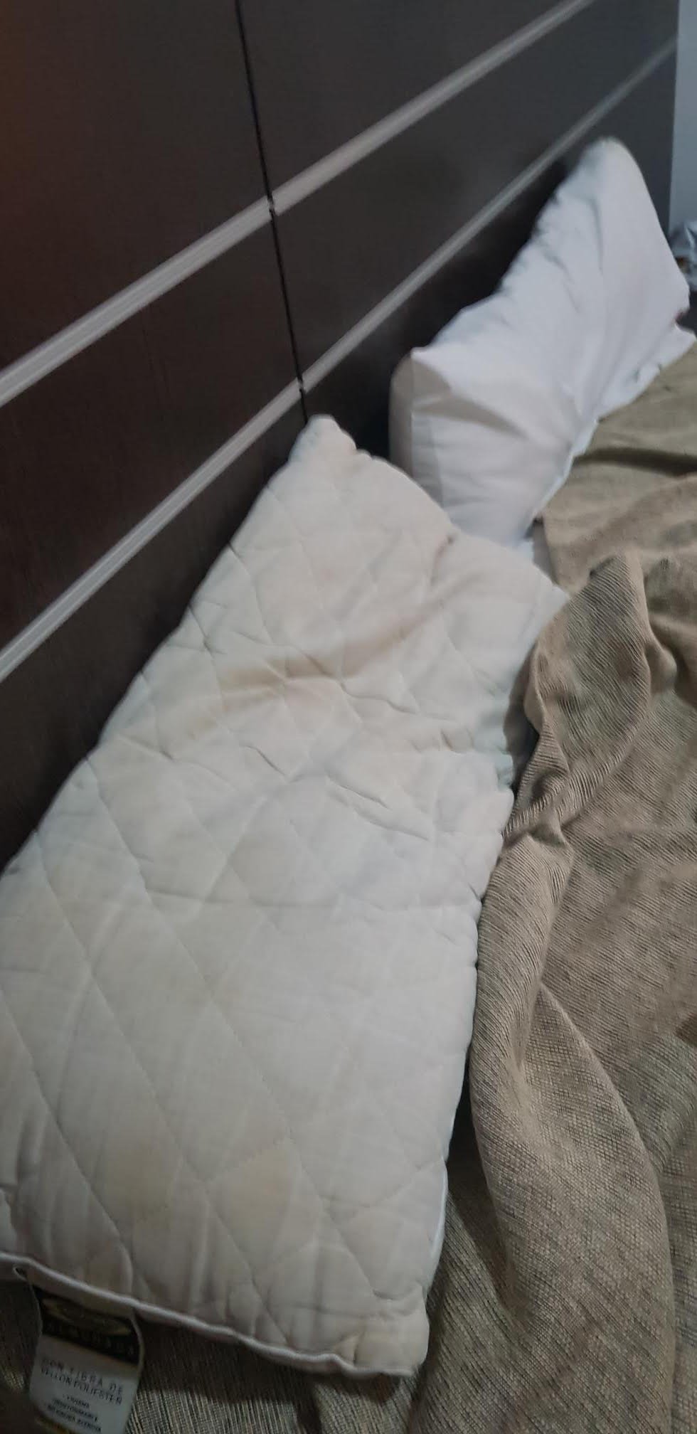 Hotel del Sol-官方