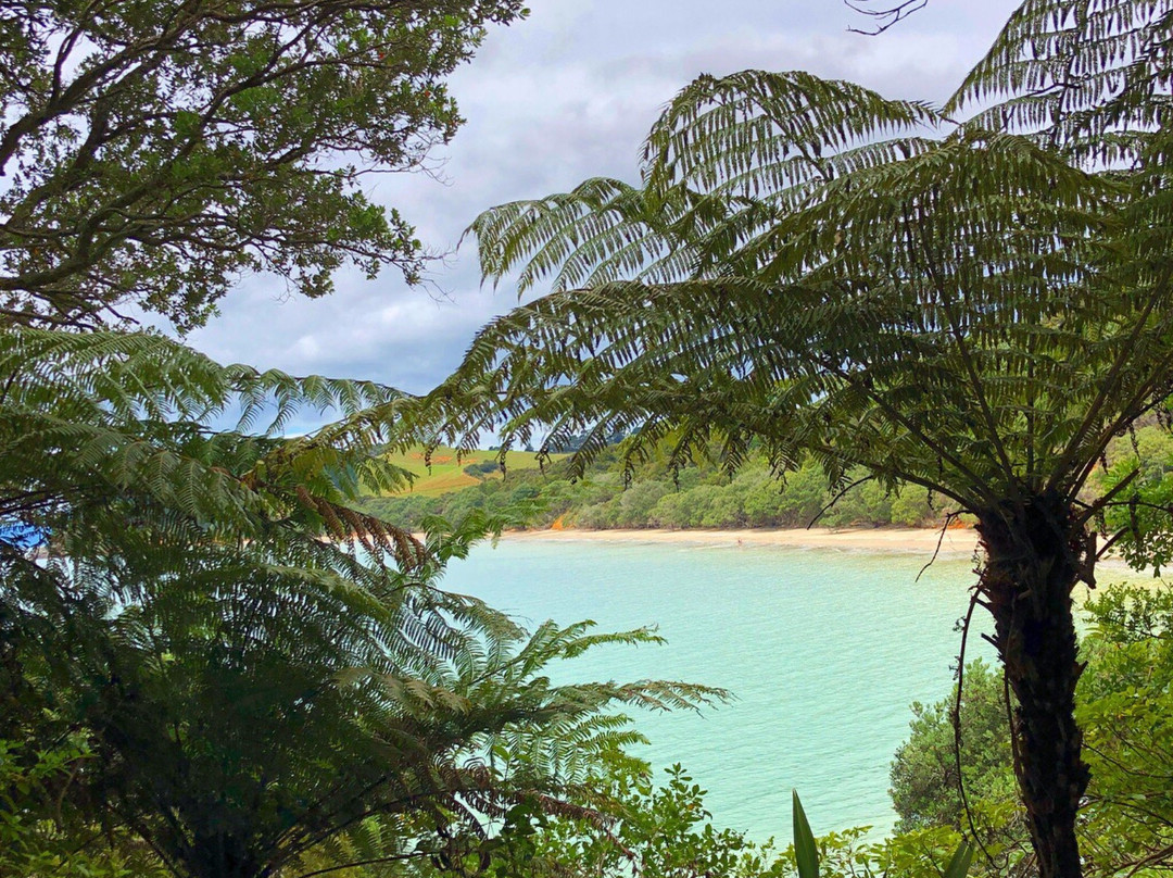 Tawhitokino Regional Park-奥克兰必去景点