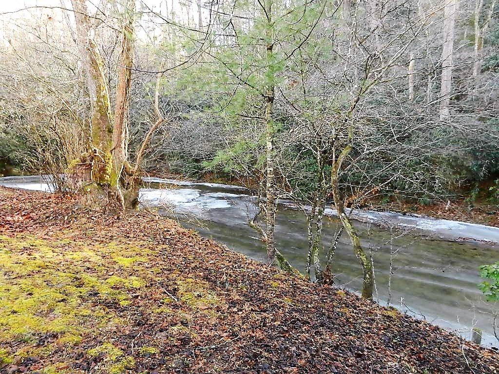 Stoney Fork Campground and B&B主图