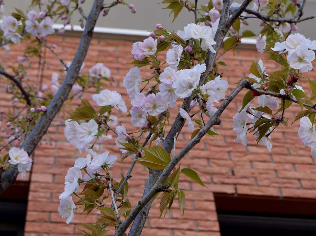 Hatthapon-代尔夫特必去景点