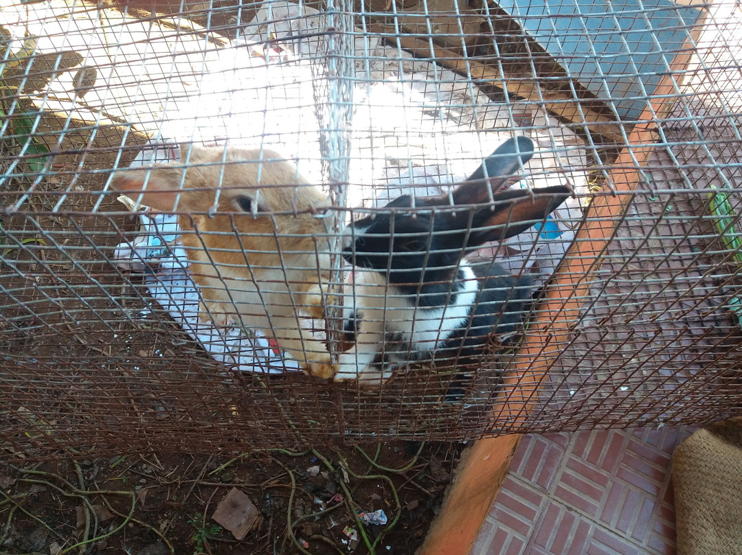 Karwar Aquarium-Karwar必去景点