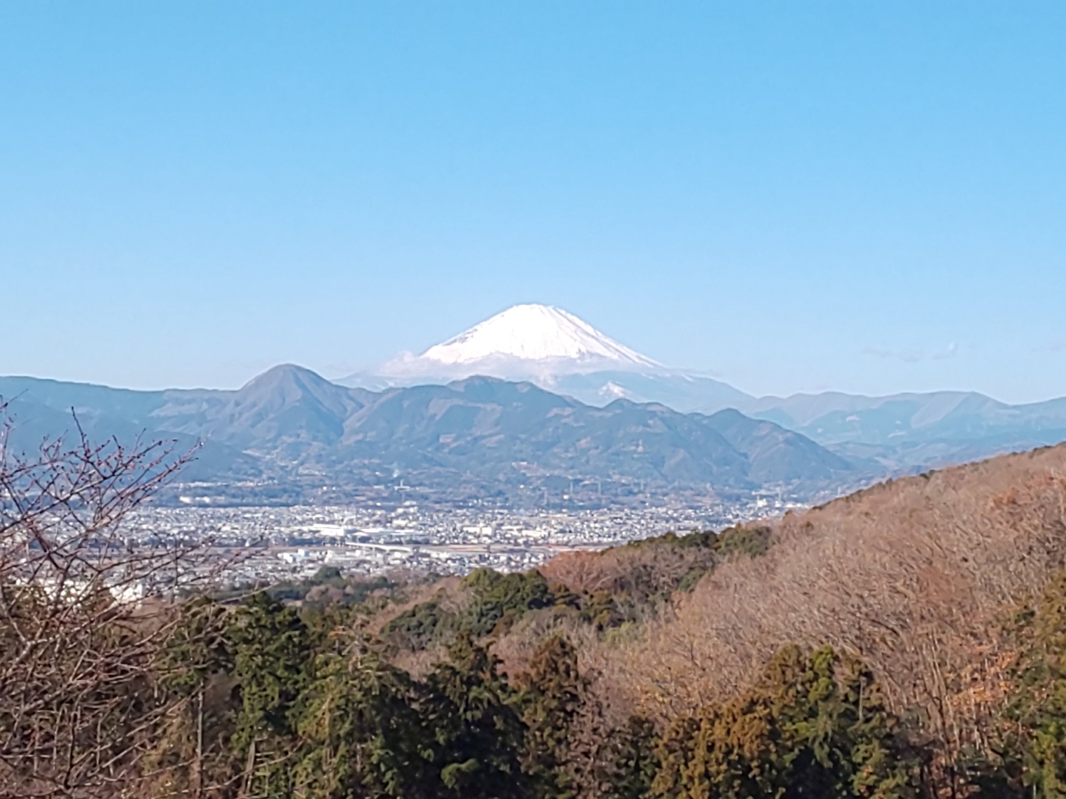 Ikoinomura Ashigara-酒店景观