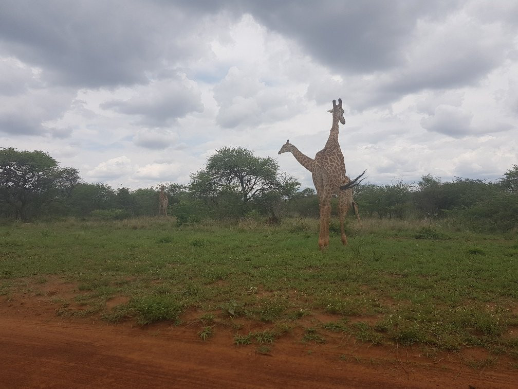 Sondela Nature Reserve Accommodation主图