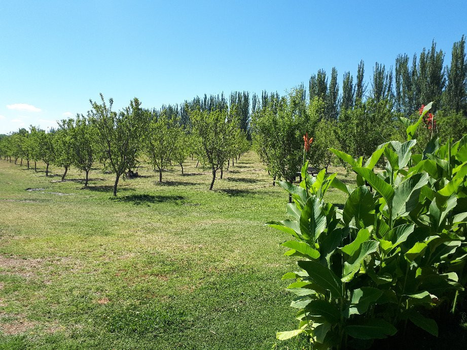 Los Almendros Posada Rural & Finca主图