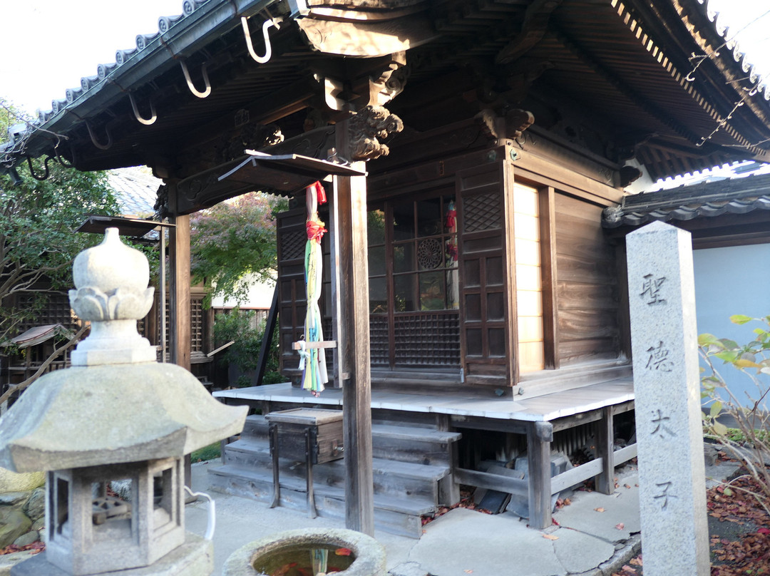 Shanain-长滨市必去景点