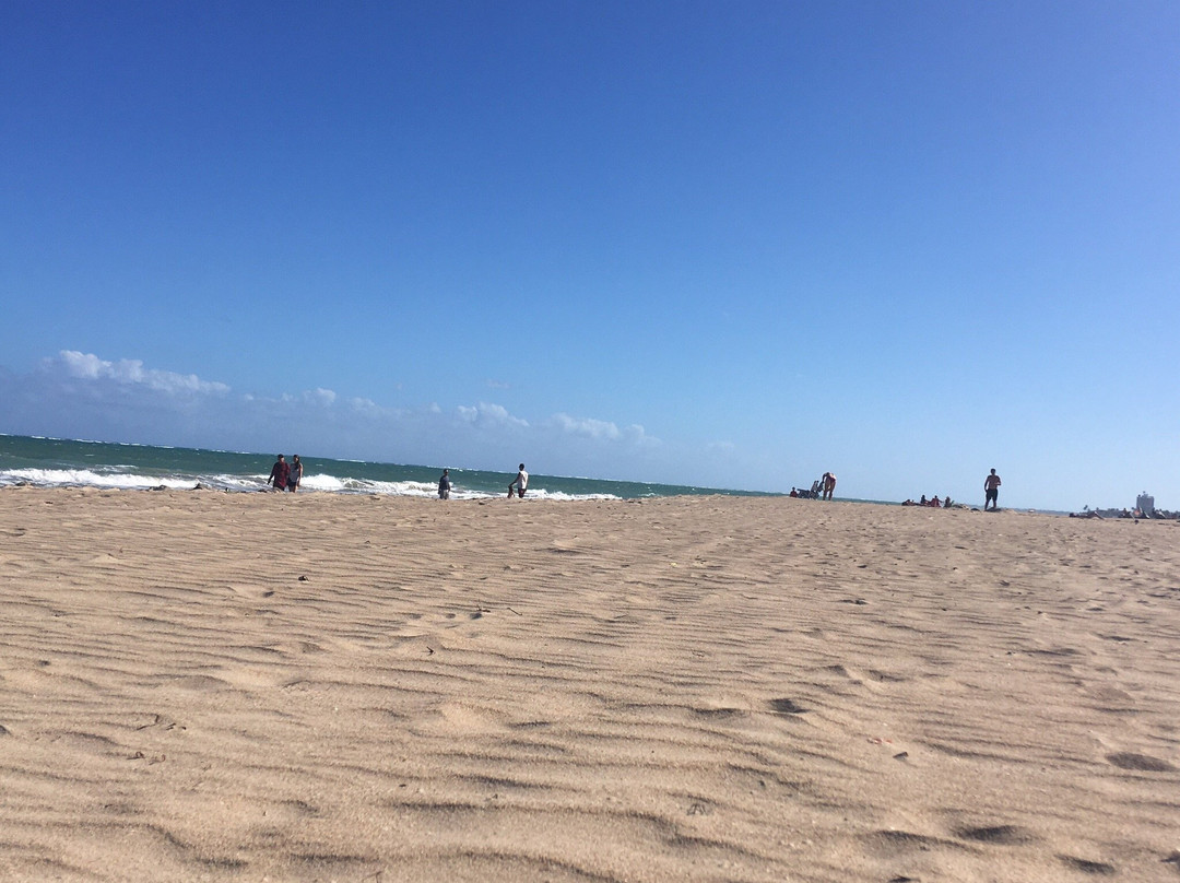 Ocean Park-圣胡安必去景点