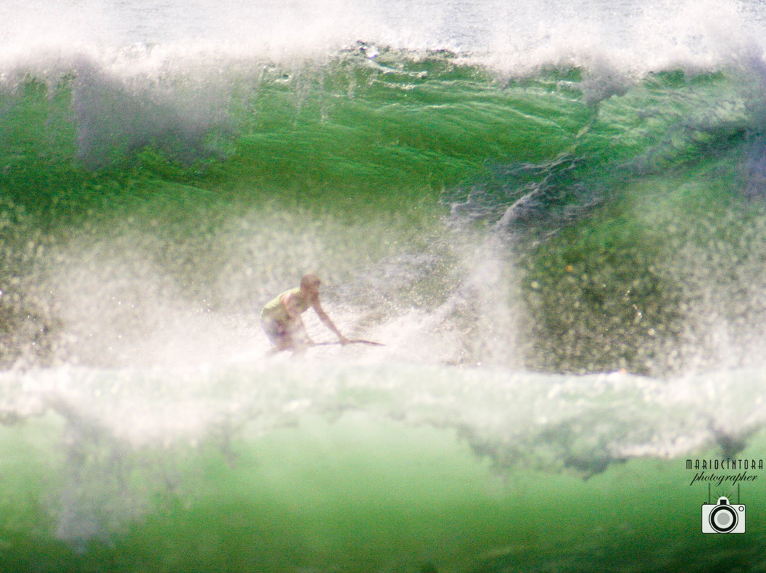 Surf in Cabo景点图片