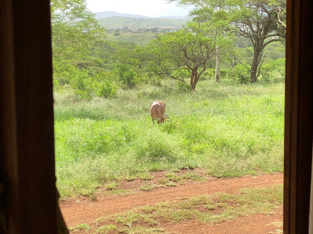 Ubizane Wildlife Reserve主图