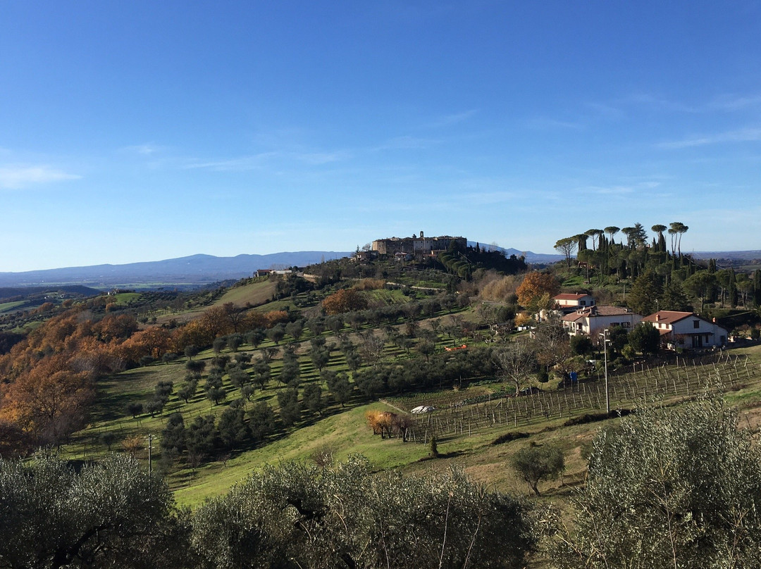 Colle Dei Gelsi