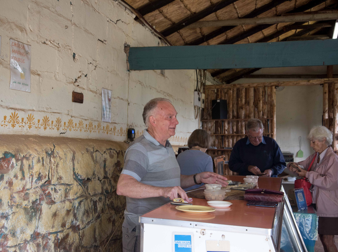 Marrakesh Cheese Farm-Rosetta必去景点