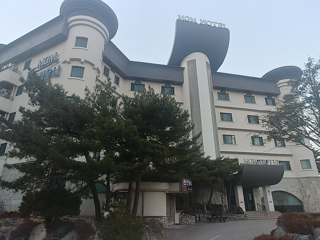 MGM Hotel主图