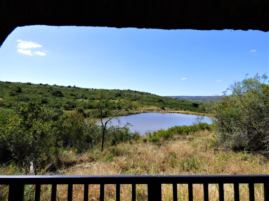 Lalibela Wildlife Reserve Kichaka Lodge主图