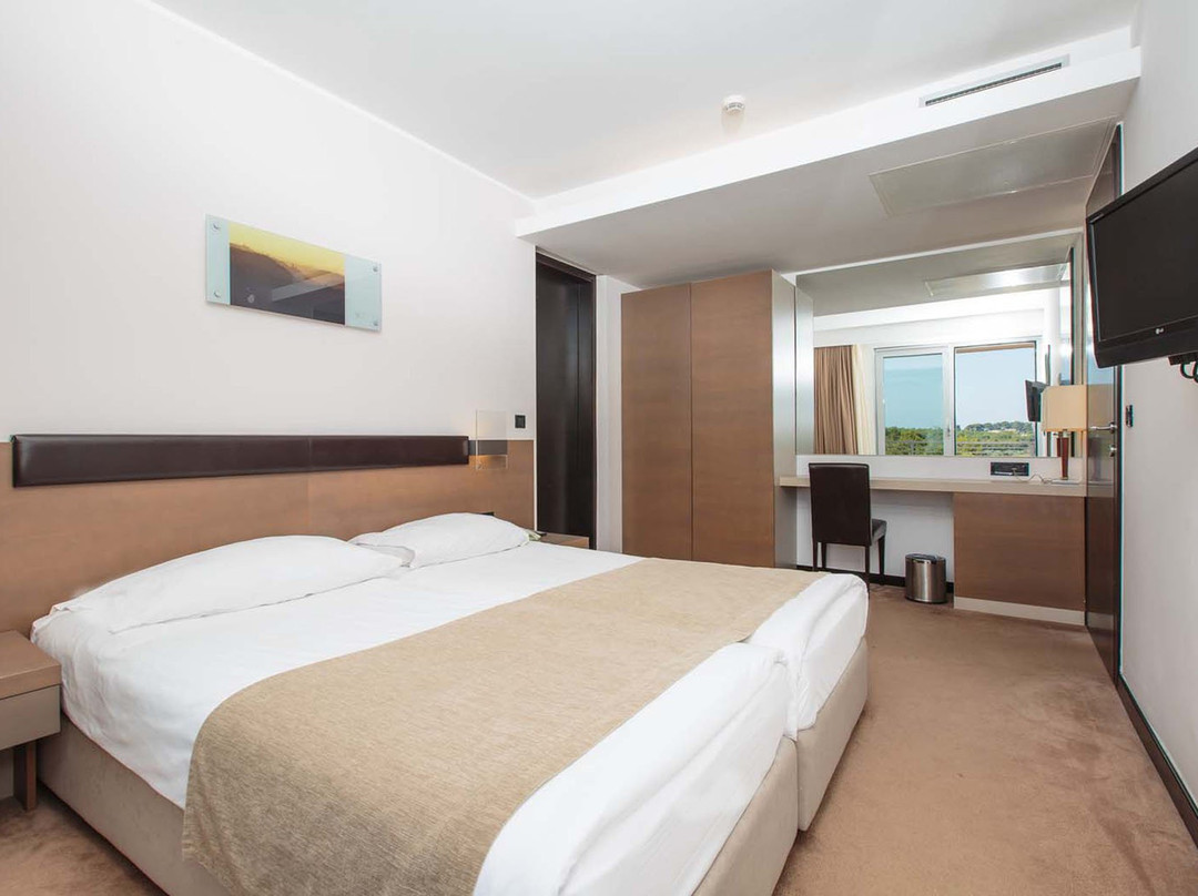 Hotel Molindrio Plava Laguna主图
