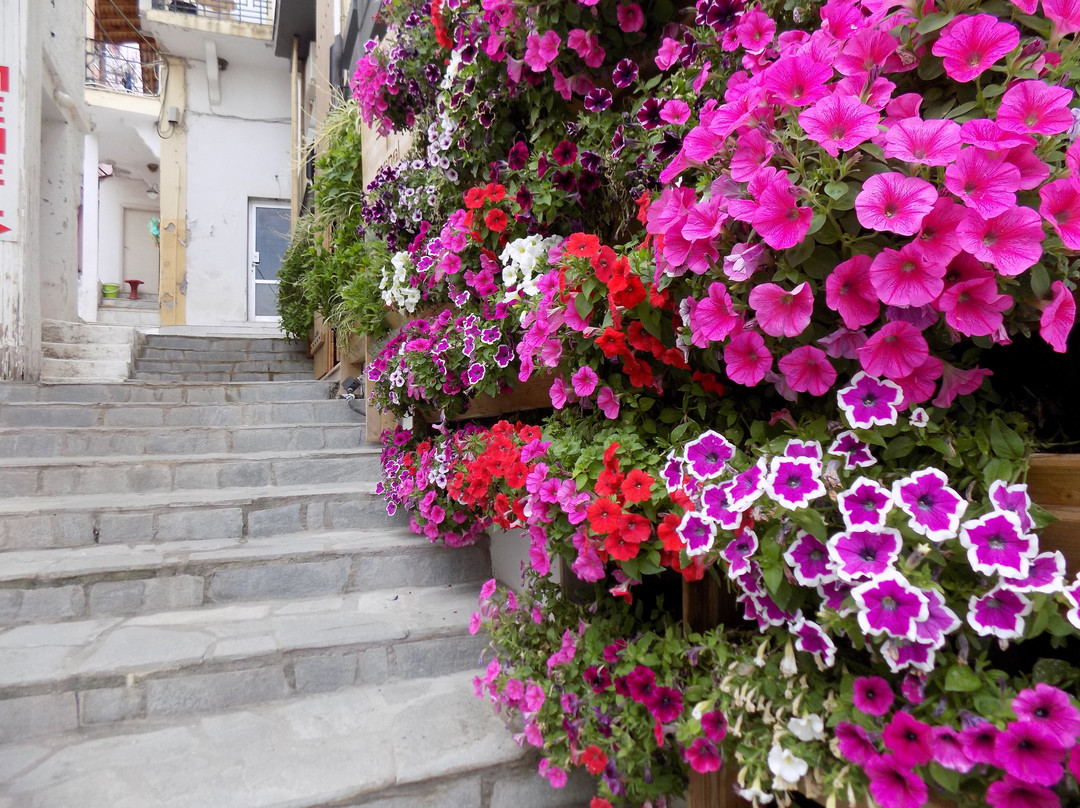 Papageorgiou Hotel主图