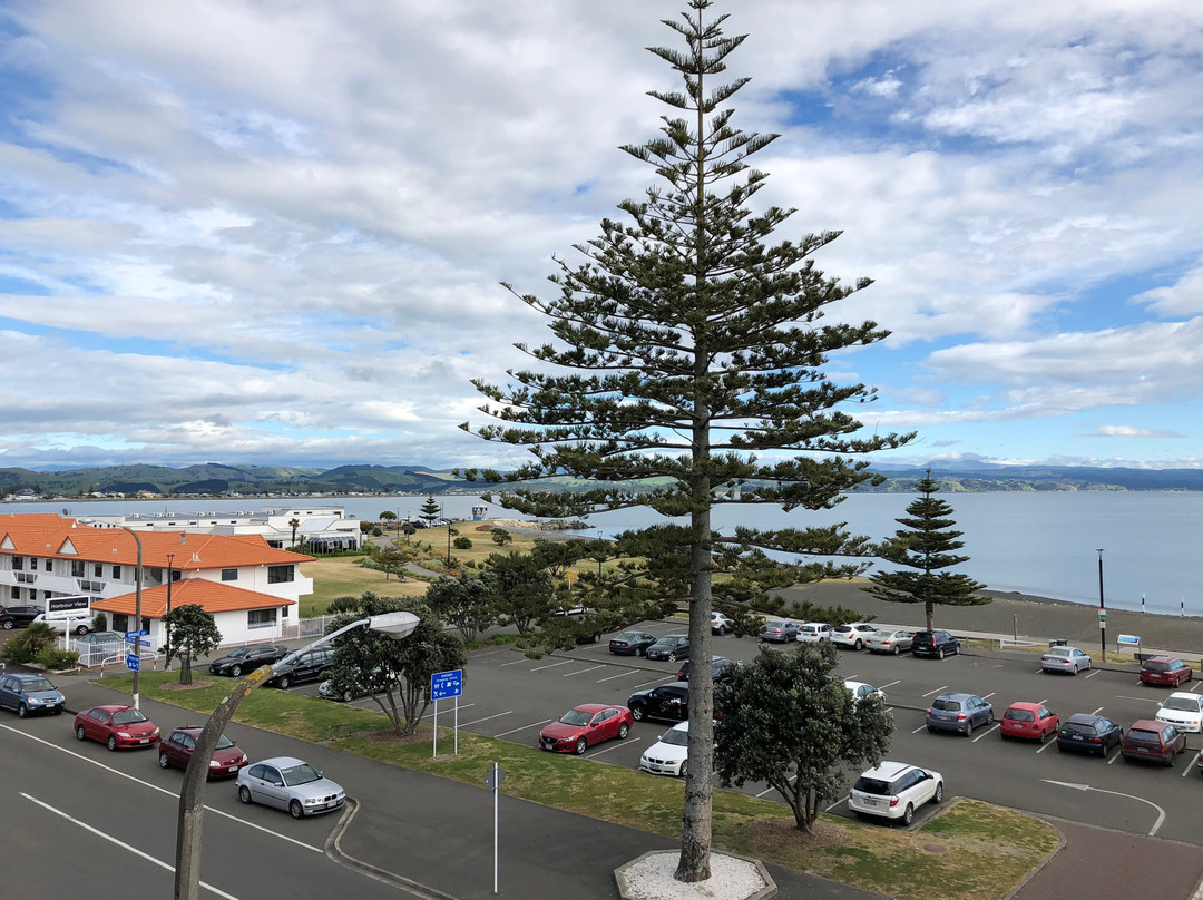 The Crown Hotel主图