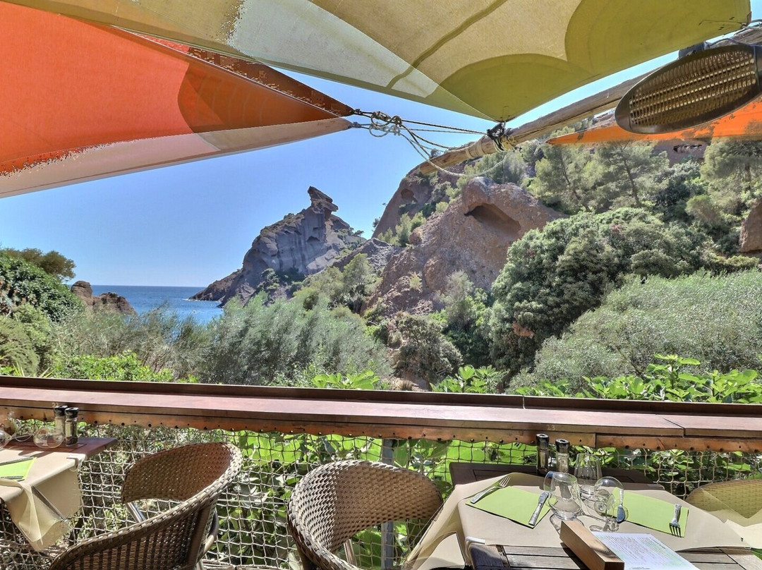 Chez Tania
