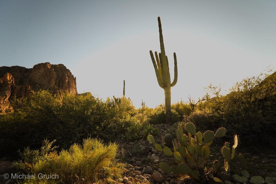Saguaro Lake Guest Ranch主图