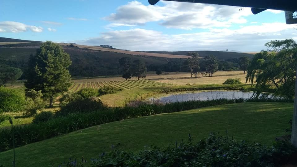 蓝桉国家庄园主图