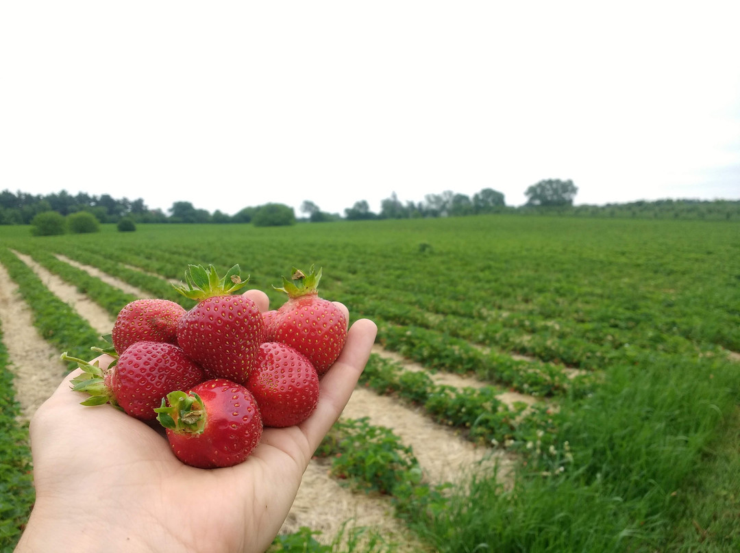 Apple Barn Orchard and Winery-Elkhorn必去景点
