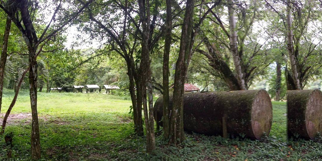 Agua Clara-帕伦克必去景点