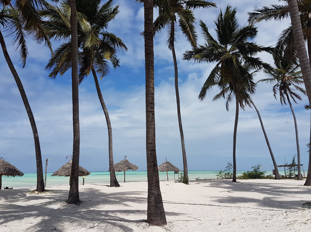 Cristal Resort Zanzibar主图