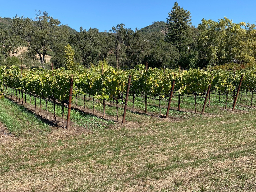 Garden Creek Ranch Vineyards Winery景点图片