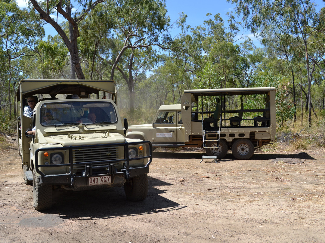 Outback Spirit-凯恩斯必去景点