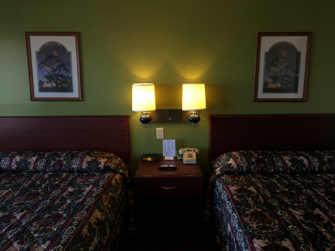 雷鸟汽车旅馆主图