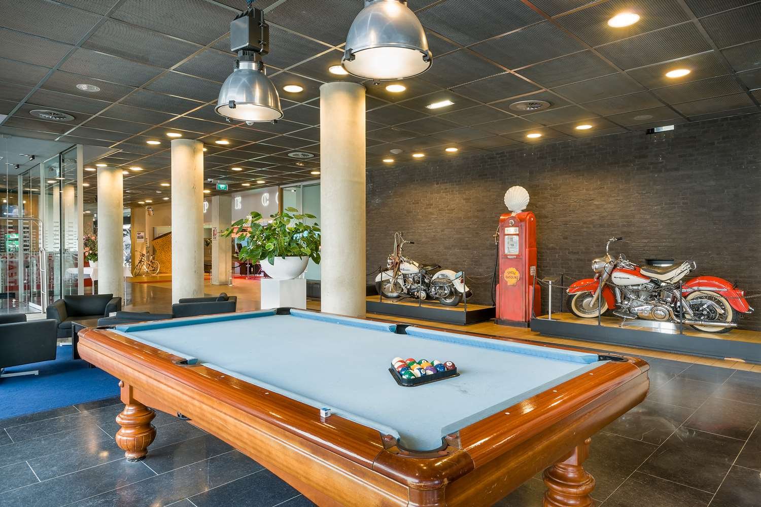 金色郁金香酒店-官方