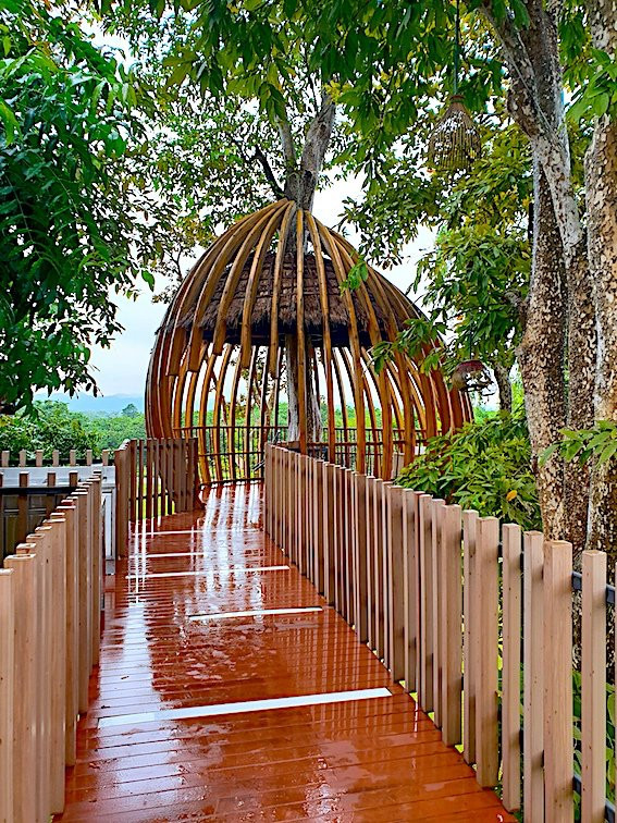 dusitD2 Khao Yai主图
