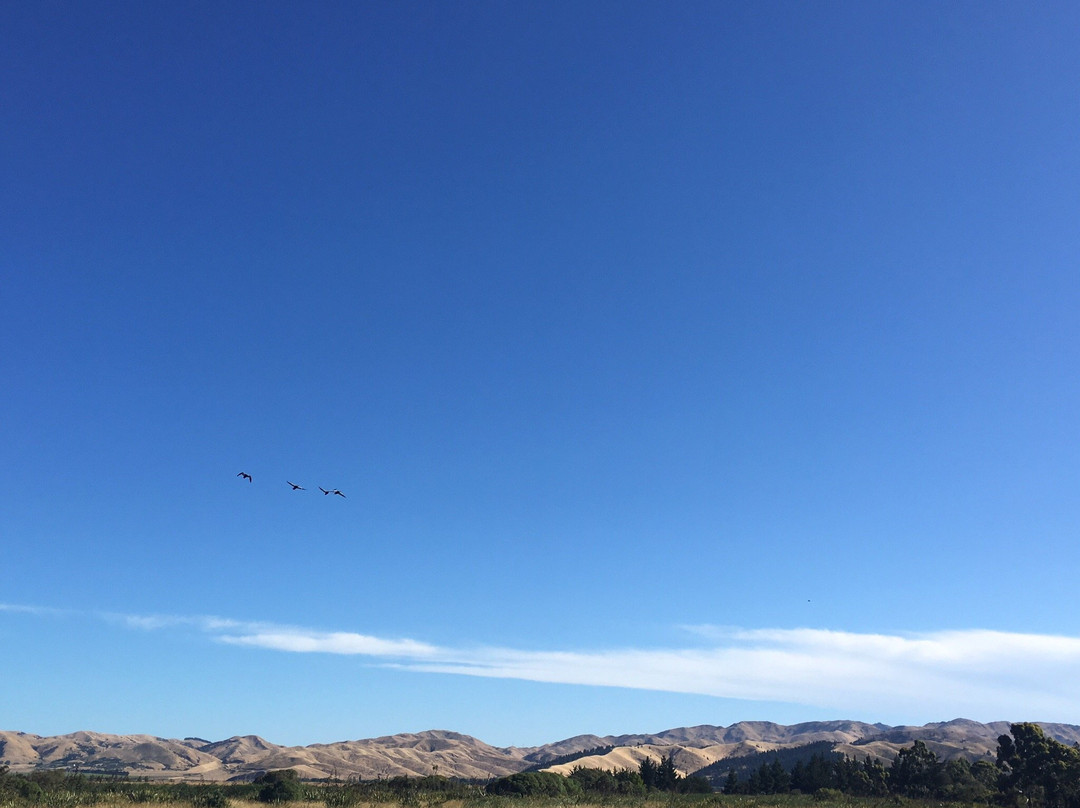 Misty River Retreat主图