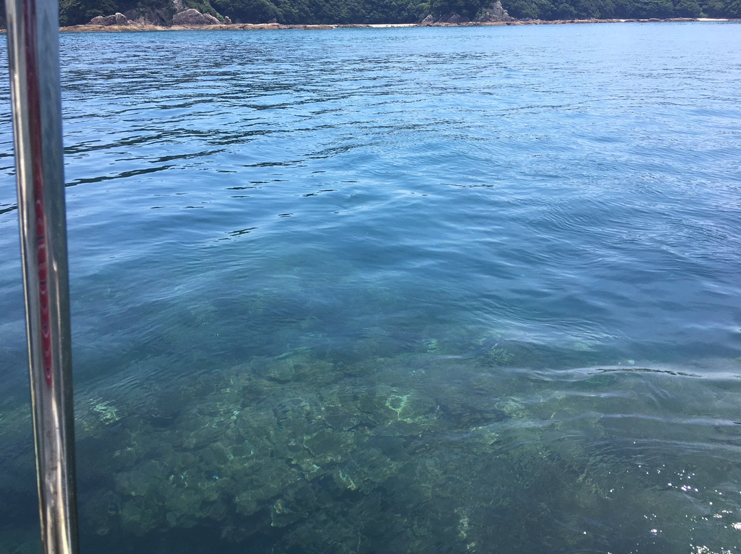 Tatsukushi Marine Sightseeing (Glass-bottomed Boat)景点图片