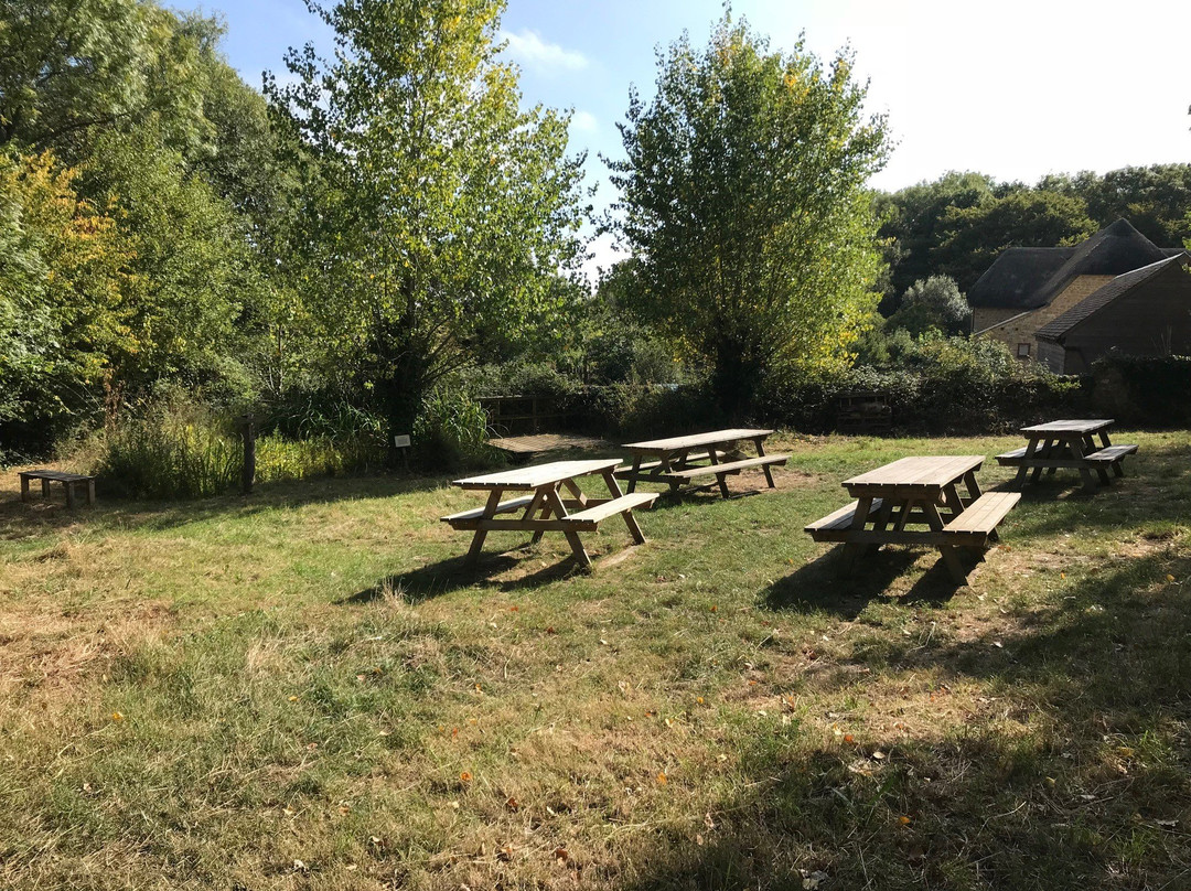 Lorton Meadows Conservation Centre & Nature Reserve景点图片