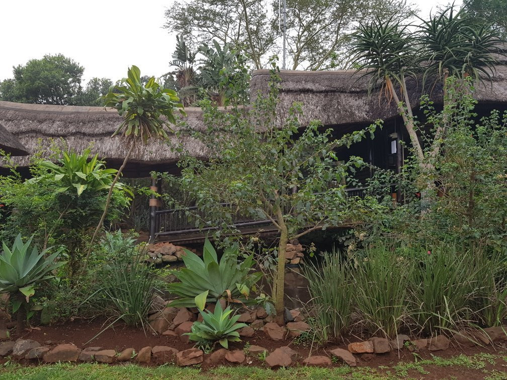 Zululand Tree Lodge主图