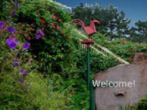 Bodega Bay Inn-官方