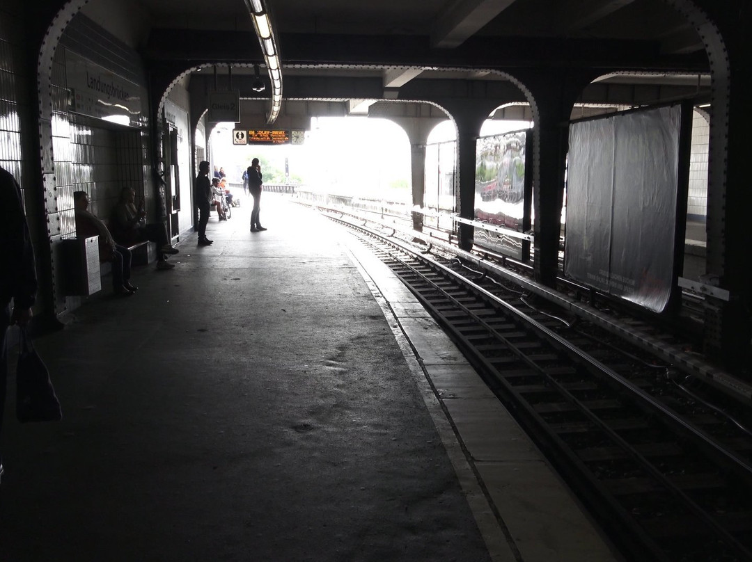 Zoologisches Museum-汉堡必去景点