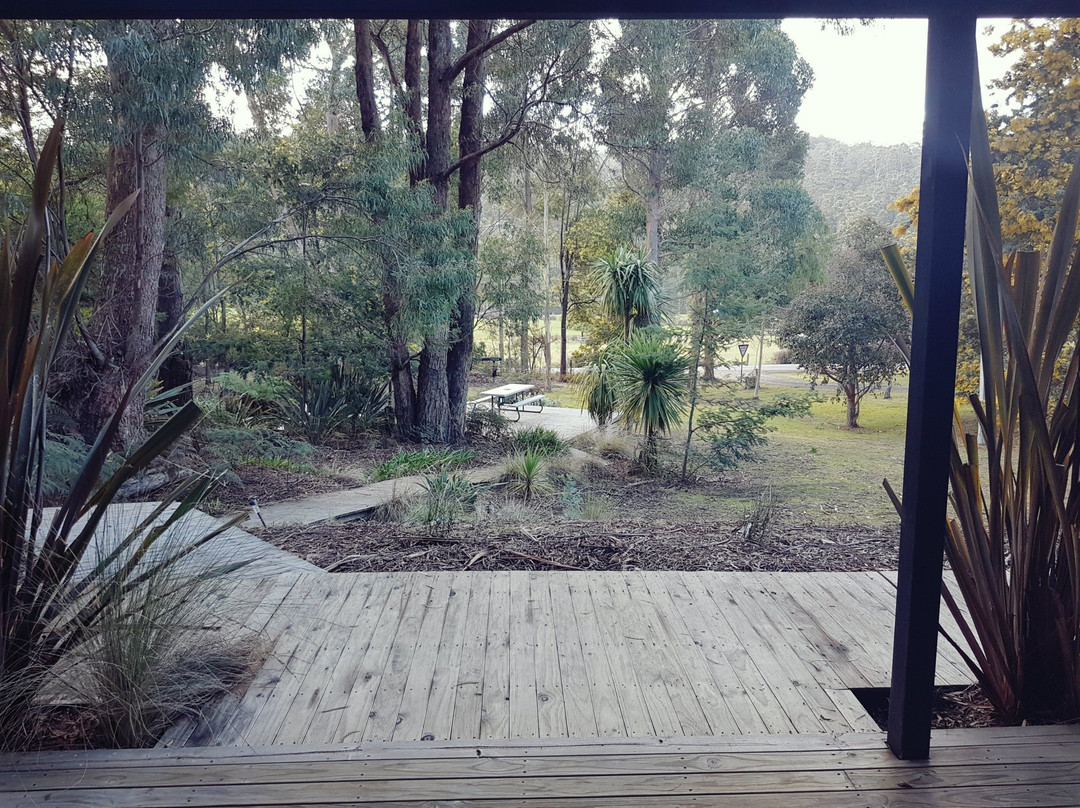 牡蛎湾木屋主图