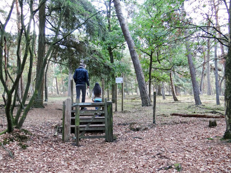 Wandelroute Heidestein-Zeist必去景点