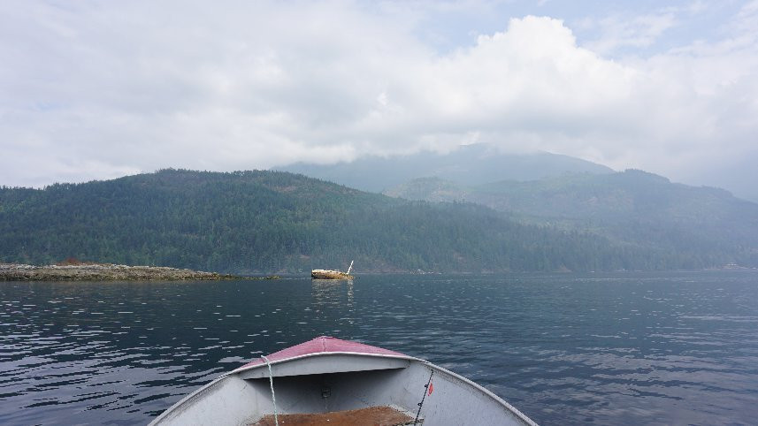 Bathgate General Store, Resort & Marina主图