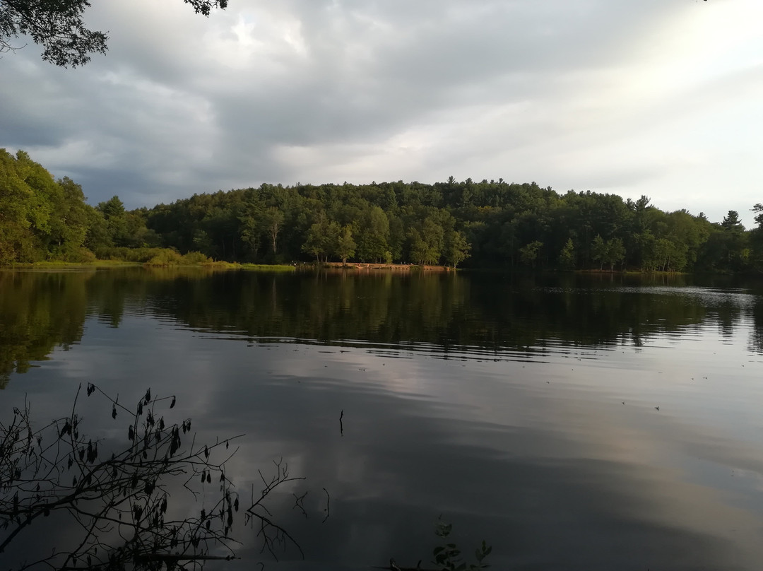 Puffer's Pond-艾姆赫斯特必去景点
