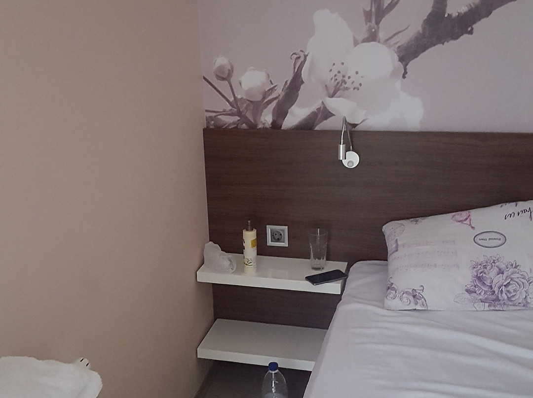 Garni Hotel Niš City View主图