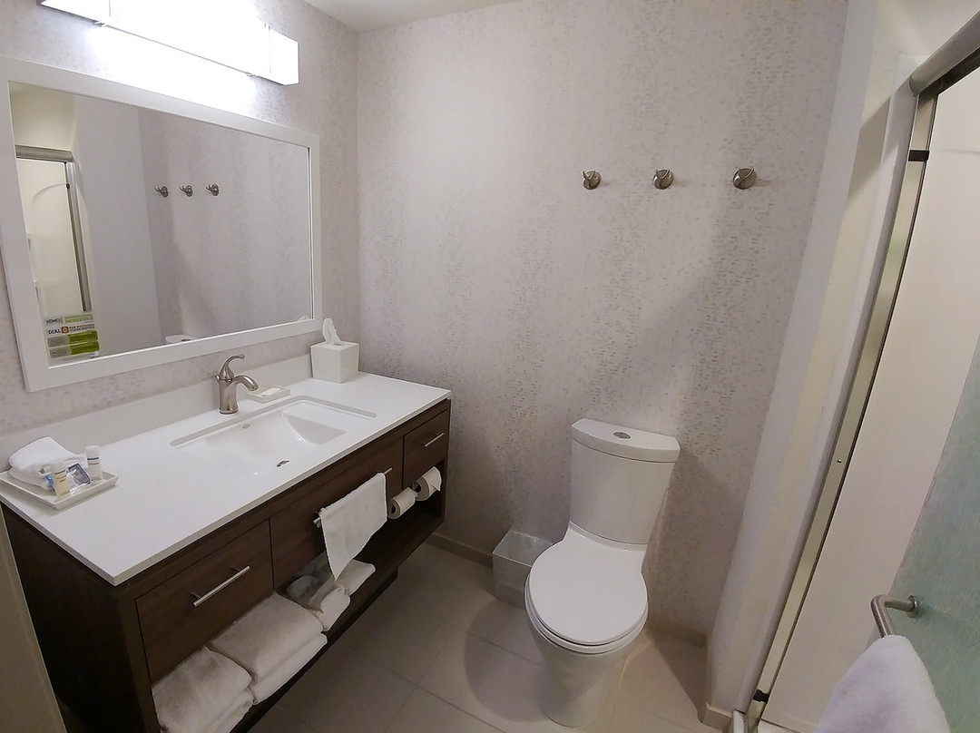 Home2 Suites by Hilton Williamsville Buffalo Airport主图