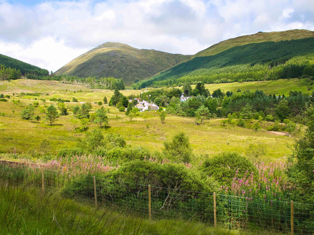 Tyndrum Community Woodland景点图片