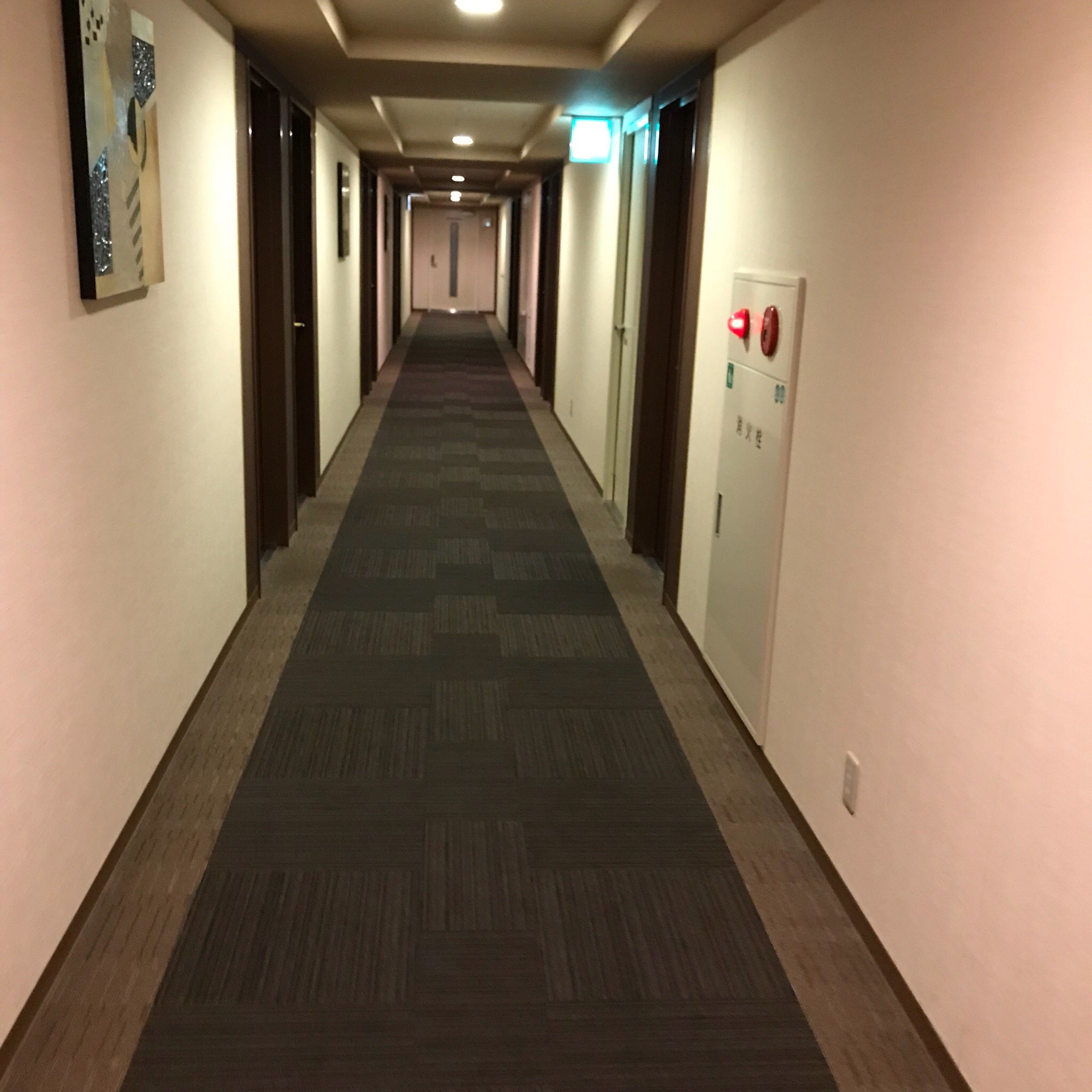 鲁特因戴尼卡亚玛英特酒店-官方