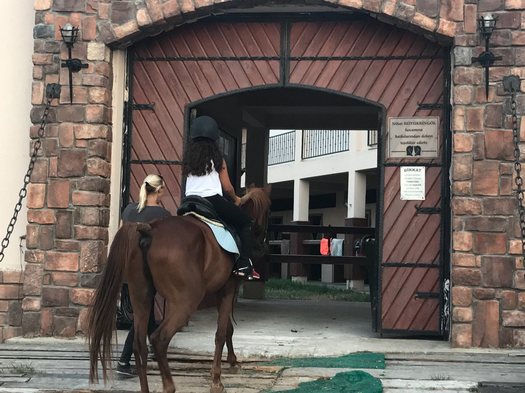 Turgutreis Countryranch Atli Spor Kulubu景点图片