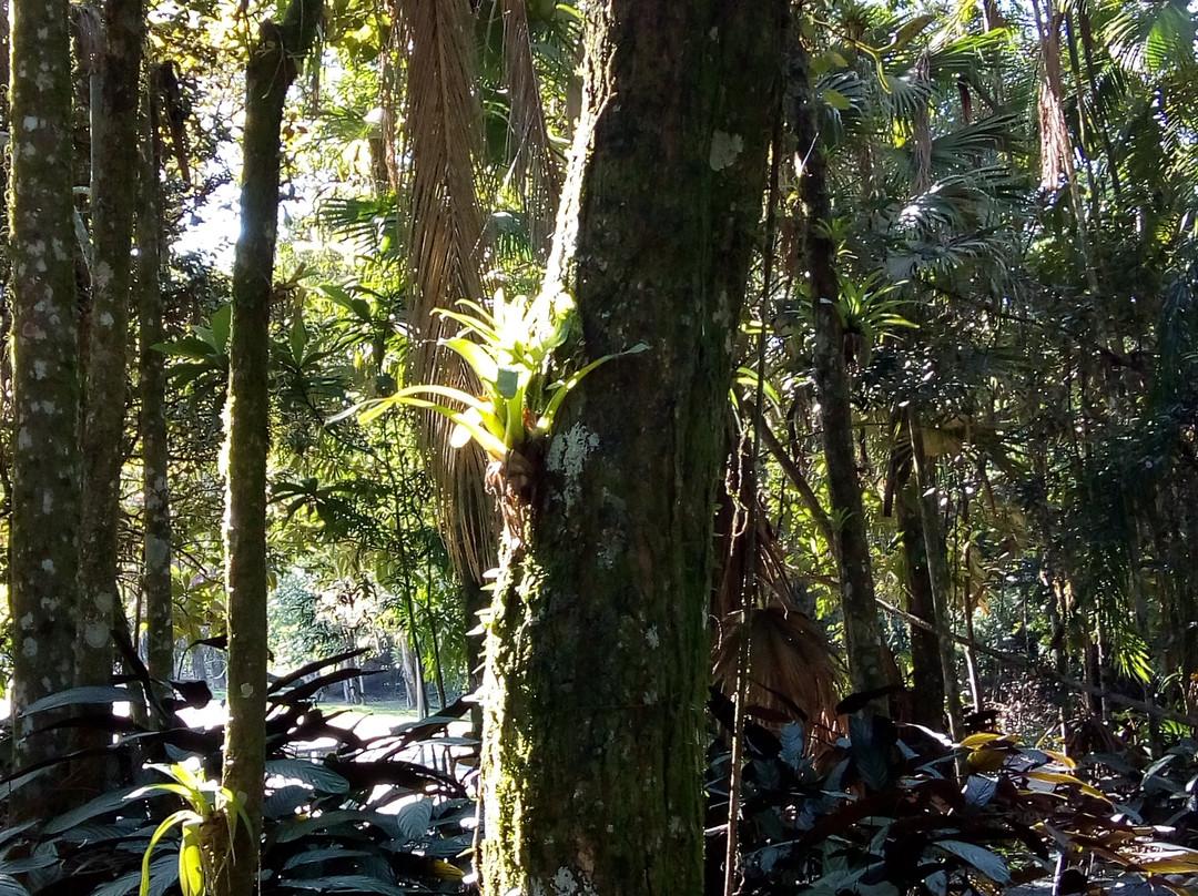 Henry Paul Park-Timbo必去景点
