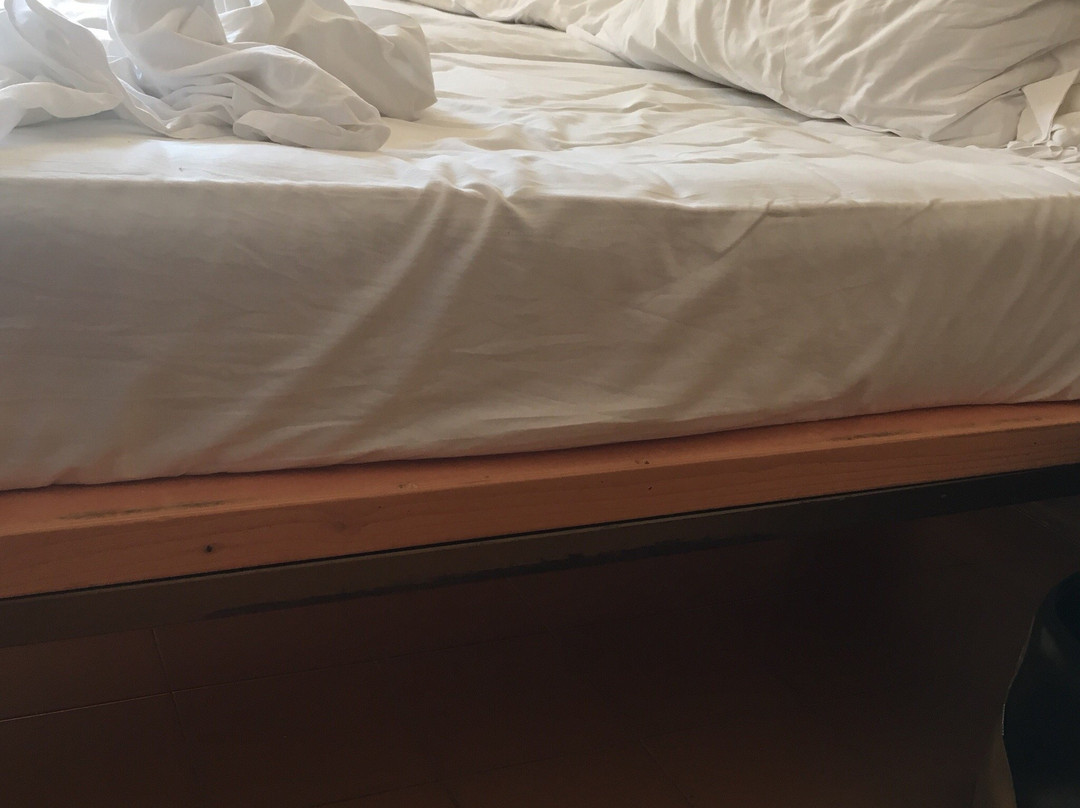 Hotel Il Giardino主图