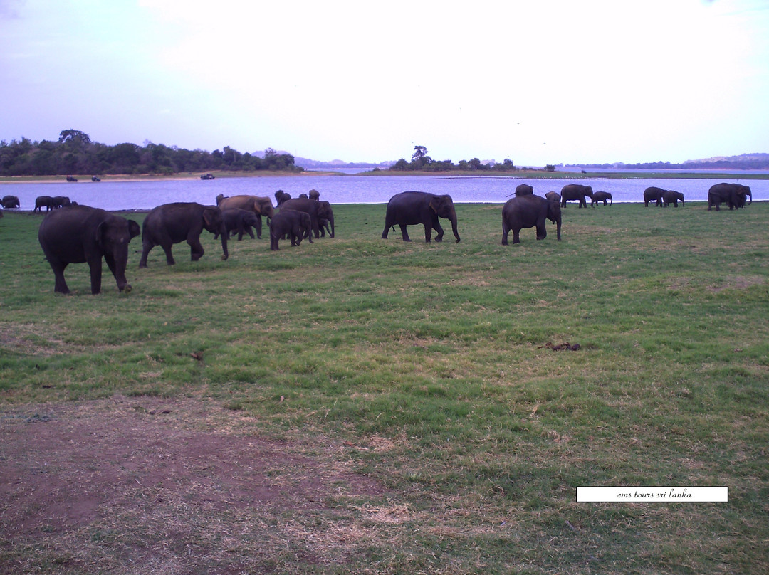 CMS Tours-科伦坡必去景点