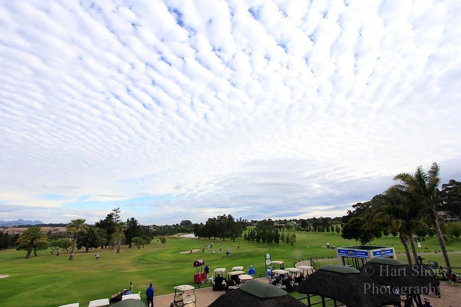 Durbanville Golf Club景点图片