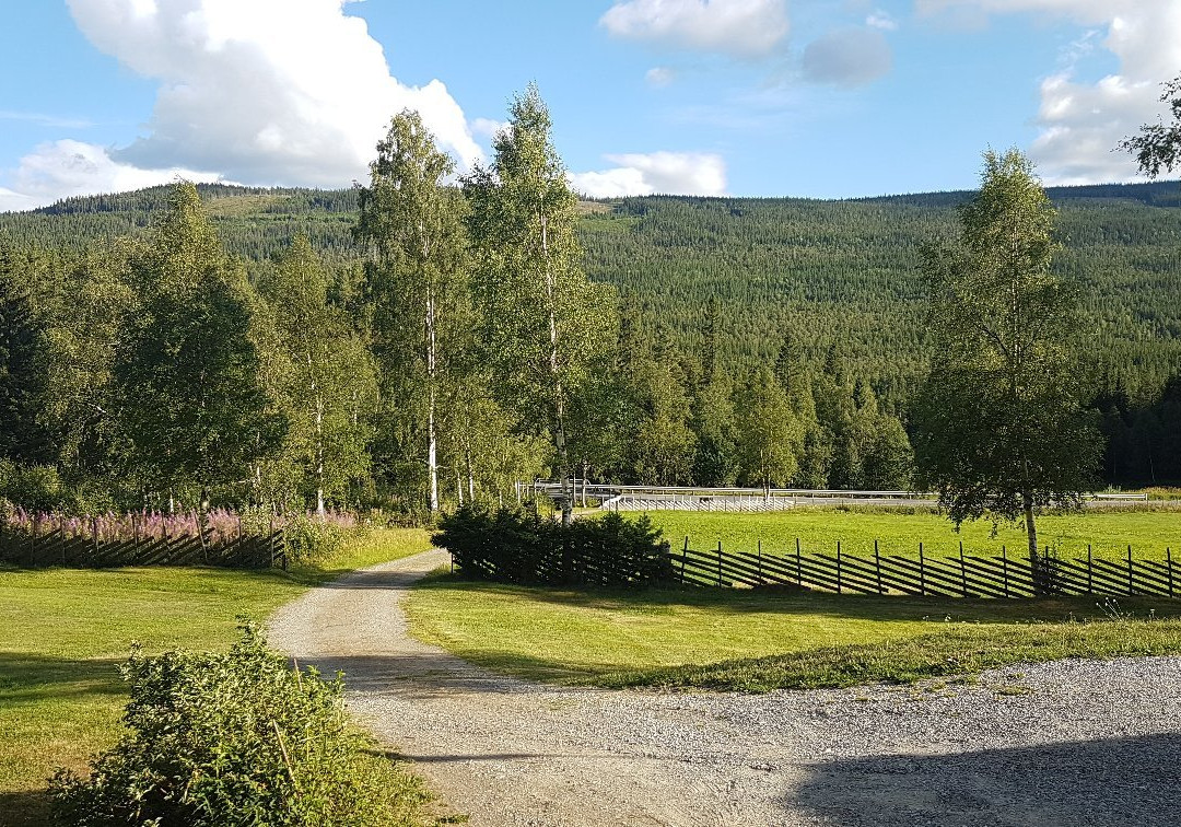 Roisland Cabin Rentals og Camping